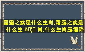 霜露之疾是什么生肖,霜露之疾是什么生 🦆 肖,什么生肖露霜降